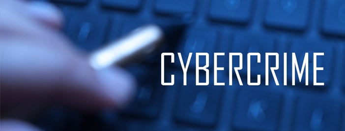 avoiding cybercrime in your business